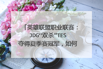 英雄联盟职业联赛：JDG“双杀”TES夺得夏季赛冠军，如何评价其表现？