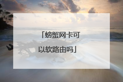 螃蟹网卡可以软路由吗