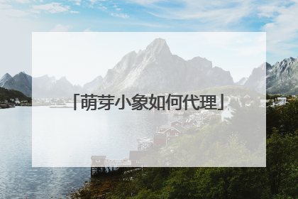萌芽小象如何代理