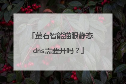 萤石智能猫眼静态dns需要开吗？