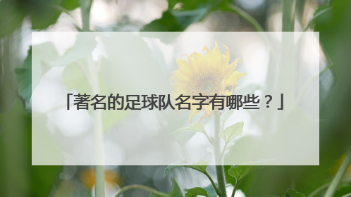 著名的足球队名字有哪些？