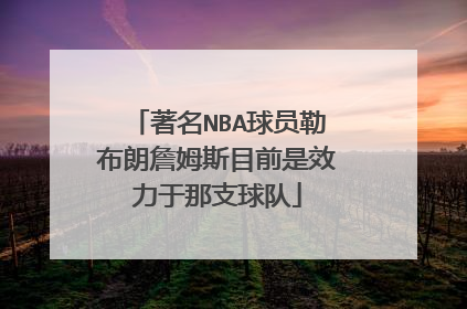 著名NBA球员勒布朗詹姆斯目前是效力于那支球队