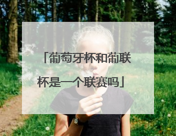 葡萄牙杯和葡联杯是一个联赛吗