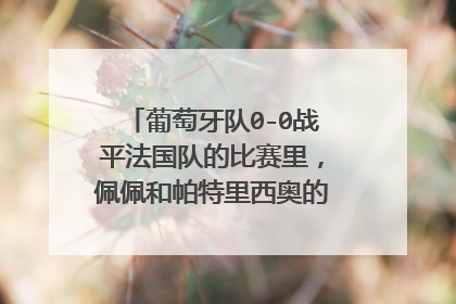 葡萄牙队0-0战平法国队的比赛里，佩佩和帕特里西奥的表现如何？