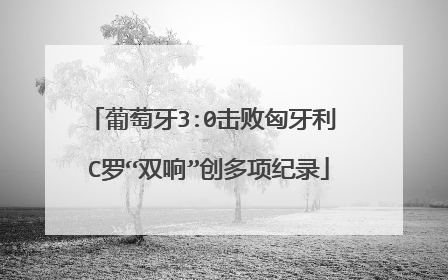 葡萄牙3:0击败匈牙利 C罗“双响”创多项纪录