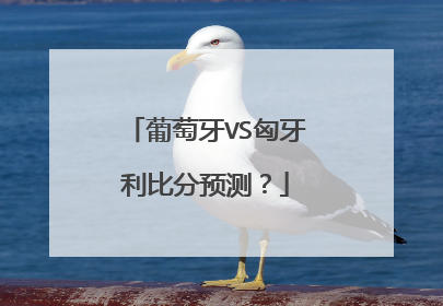 葡萄牙VS匈牙利比分预测？