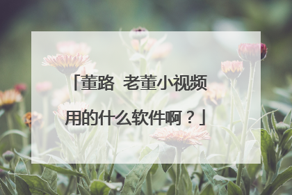 董路 老董小视频 用的什么软件啊？
