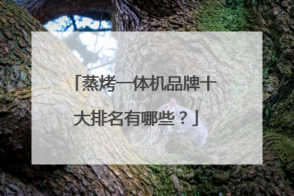 蒸烤一体机品牌十大排名有哪些?