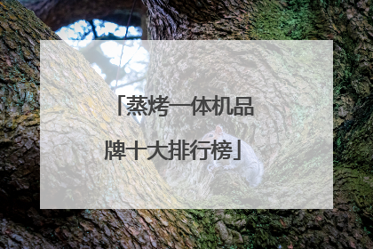 蒸烤一体机品牌十大排行榜