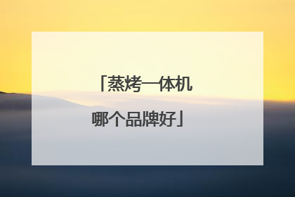 蒸烤一体机哪个品牌好