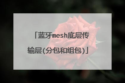 蓝牙mesh底层传输层(分包和组包)