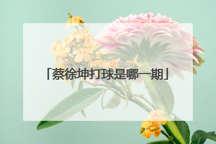 蔡徐坤打球是哪一期