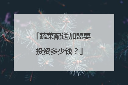 蔬菜配送加盟要投资多少钱?