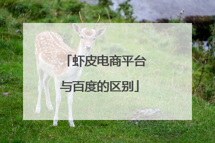 虾皮电商平台与百度的区别