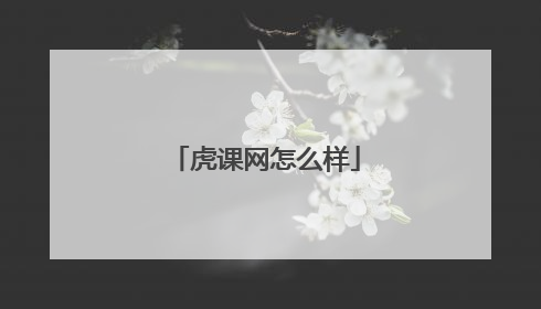 虎课网怎么样