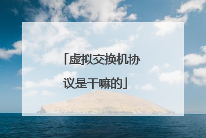 虚拟交换机协议是干嘛的