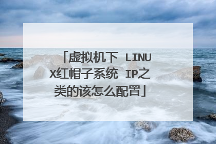 虚拟机下 LINUX红帽子系统 IP之类的该怎么配置