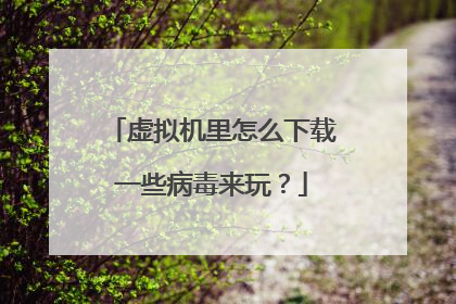 虚拟机里怎么下载一些病毒来玩?