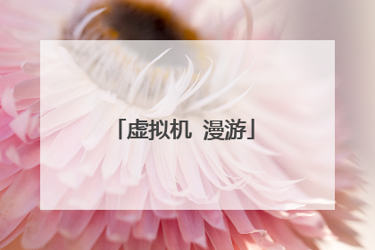 虚拟机 漫游