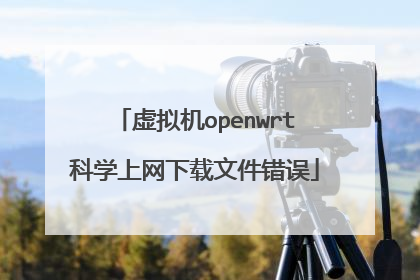 虚拟机openwrt科学上网下载文件错误