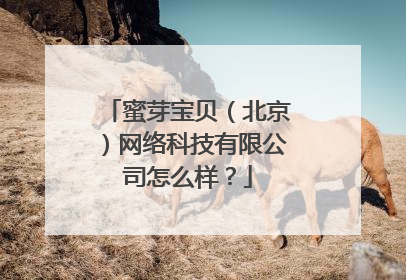 蜜芽宝贝（北京）网络科技有限公司怎么样？