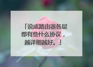 说或路由器各层都有些什么协议，越详细越好。