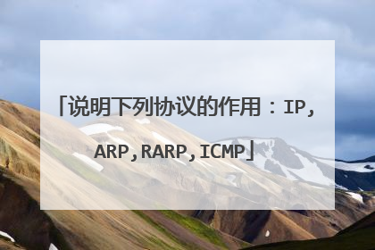 说明下列协议的作用：IP,ARP,RARP,ICMP