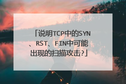 说明TCP中的SYN、RST、FIN中可能出现的扫描攻击?