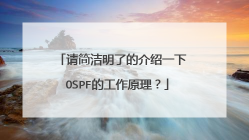 请简洁明了的介绍一下OSPF的工作原理？
