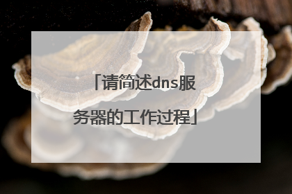 请简述dns服务器的工作过程