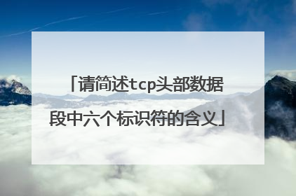 请简述tcp头部数据段中六个标识符的含义