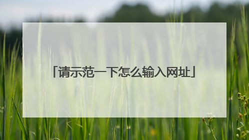 请示范一下怎么输入网址