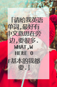 请给我英语单词,最好有中文意思在旁边,要很多.WHAT,WHERE OF基本的我都要.