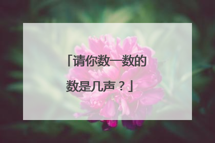 请你数一数的数是几声？