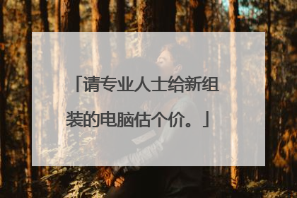 请专业人士给新组装的电脑估个价。