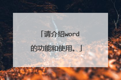 请介绍word的功能和使用。