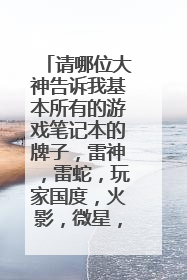请哪位大神告诉我基本所有的游戏笔记本的牌子,雷神,雷蛇,玩家国度,火影,微星,外星人还有哪些