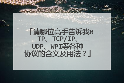 请哪位高手告诉我RTP、TCP/IP、UDP、WPI等各种协议的含义及用法？