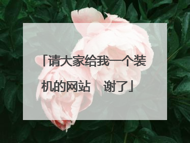 请大家给我一个装机的网站 谢了
