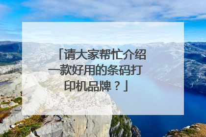 请大家帮忙介绍一款好用的条码打印机品牌？