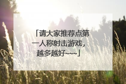 请大家推荐点第一人称射击游戏,越多越好~~~