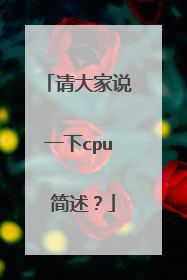 请大家说一下cpu 简述？