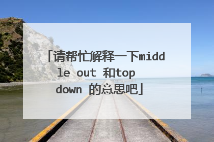 请帮忙解释一下middle out 和top down 的意思吧