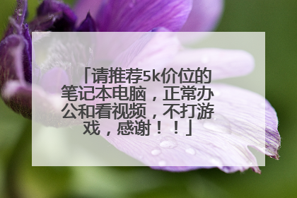 请推荐5k价位的笔记本电脑，正常办公和看视频，不打游戏，感谢！！