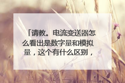 请教。电流变送器怎么看出是数字量和模拟量，这个有什么区别，分别用在什么地方。设计时怎么选。