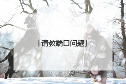 请教端口问题