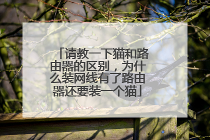 请教一下猫和路由器的区别，为什么装网线有了路由器还要装一个猫