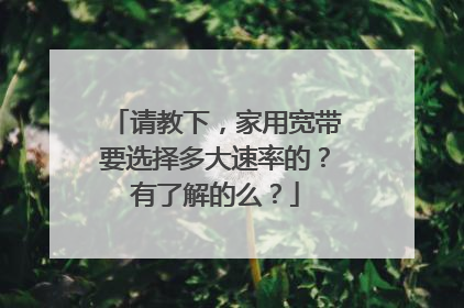 请教下,家用宽带要选择多大速率的?有了解的么?