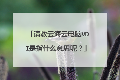 请教云海云电脑VDI是指什么意思呢?