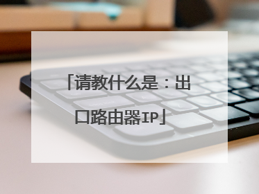 请教什么是：出口路由器IP